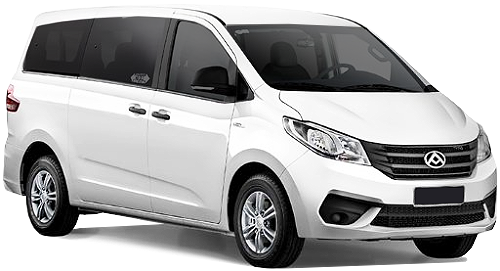 LDV G10